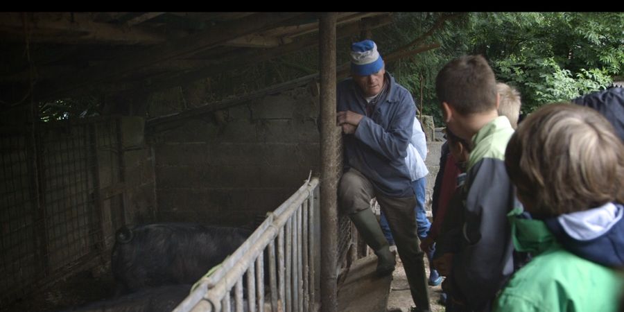 image - A travers champs : La ferme à Gégé (documentaire)