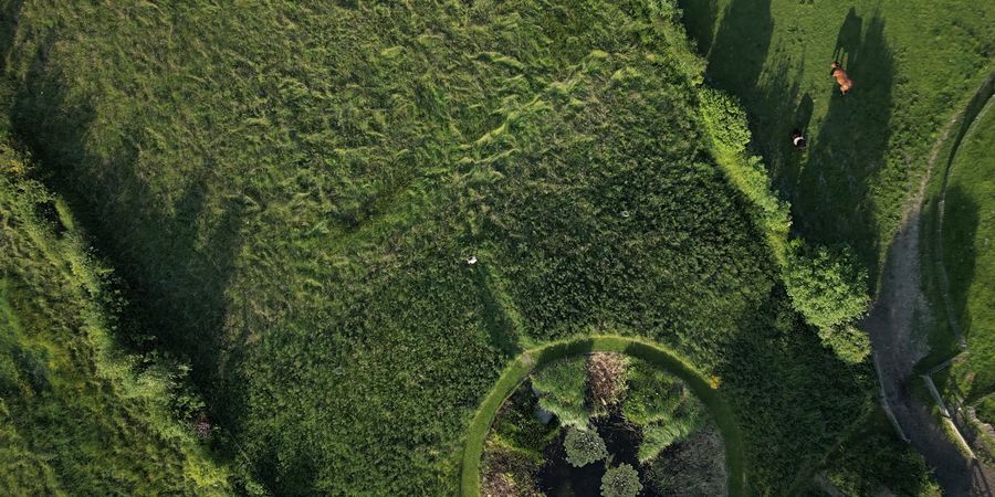 image - A travers champs : La vérité du sol (documentaire)