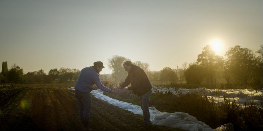 image - A travers champs : ZUT (documentaire)