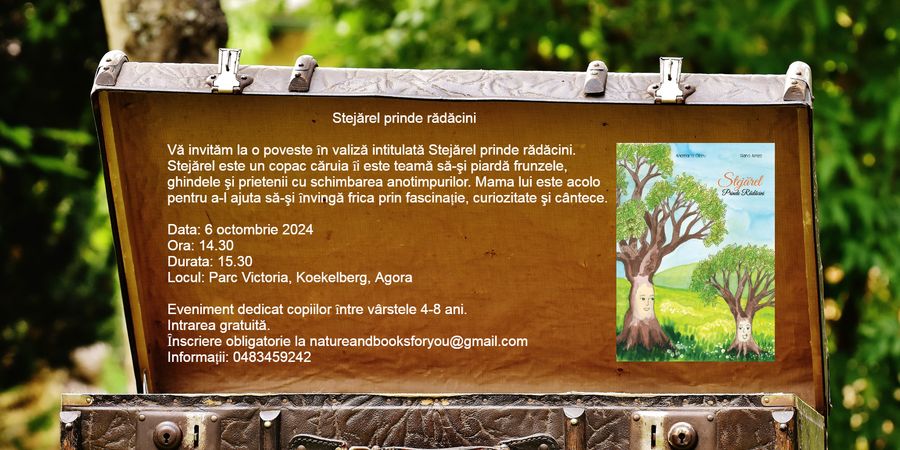 image - Présentation du livre : Le chêne prend racine par Anamaria Olaru