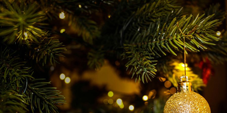 Les activités à faire avec vos enfants pendant les vacances de Noël en Belgique