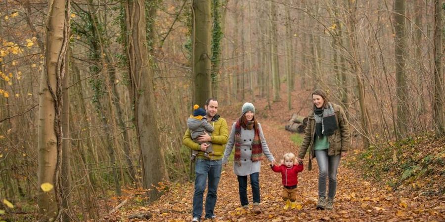 image - Daguitstap - Herfstwandeling in het Zoniënwoud