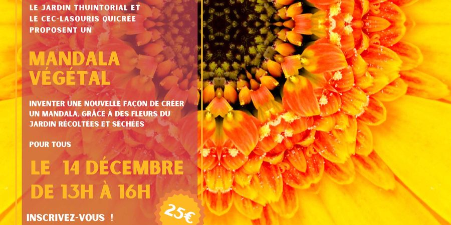 image - Workshop : Mandala végétal