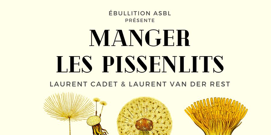 image - Manger les pissenlits