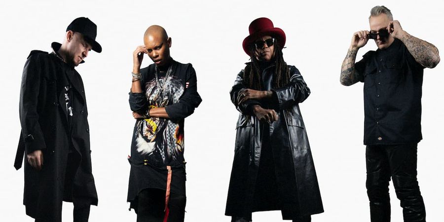 image - Skunk Anansie