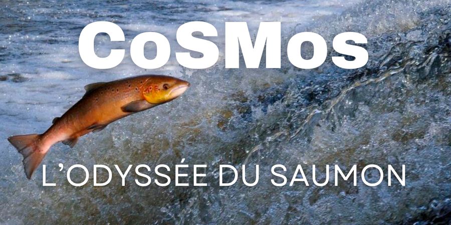 image - Visite de CoSMos - l'Odyssée du saumon