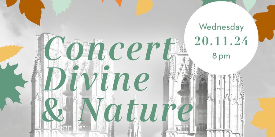 image - Jaarlijks concert van het Fonds van de Vrienden van de Kathedraal