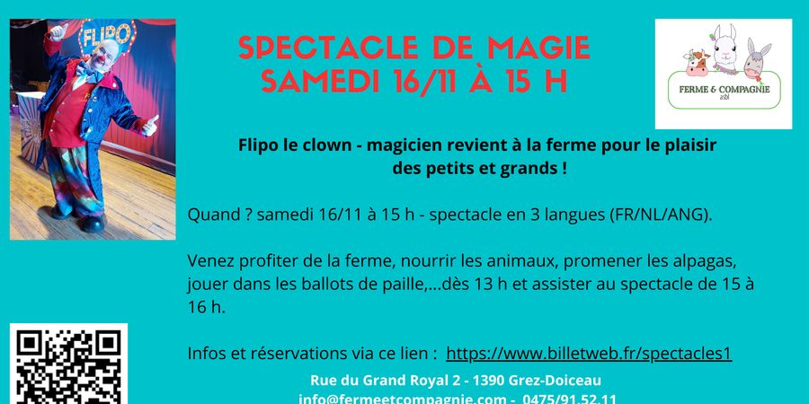 image - Spectacle de magie et clown 