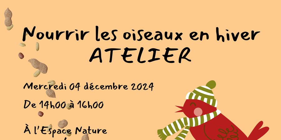 image - Nourrir les oiseaux en hiver