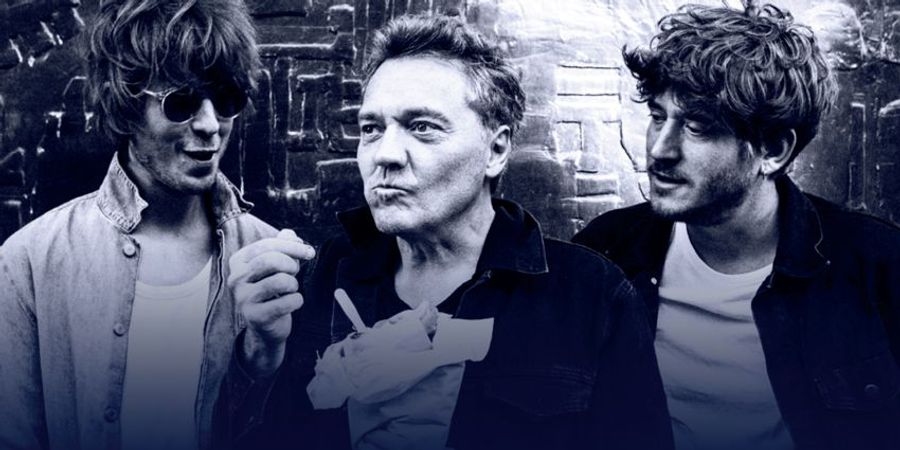 image - SHARKO – 25 jaar!