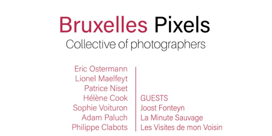 image - Bruxelles Pixels VII” tentoonstelling (29 nov tot 15 dec 2024)