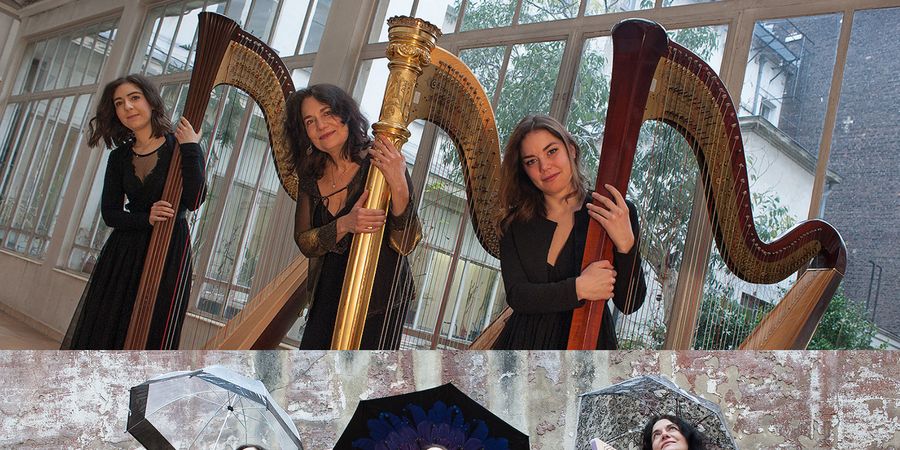 image - Trois harpes dansantes aux Concerts de Midi.
