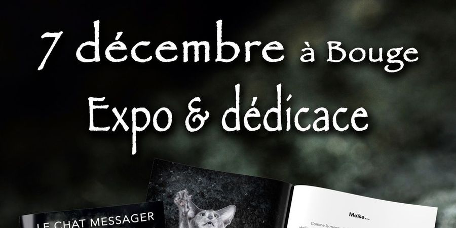 image - Vente et dédicaces du livre 