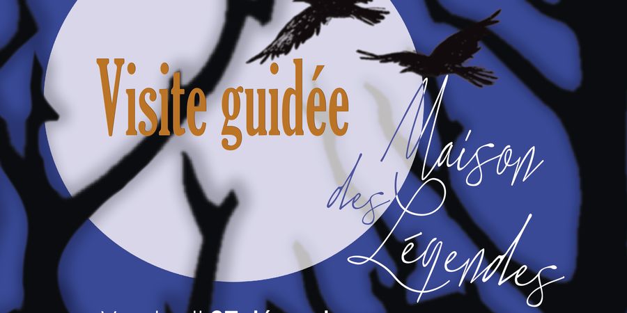 image - Visite famille spéciale Noël – Légendes