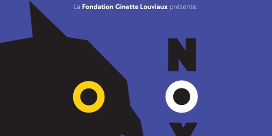 image - NOX - Un spectacle poétique et inattendu