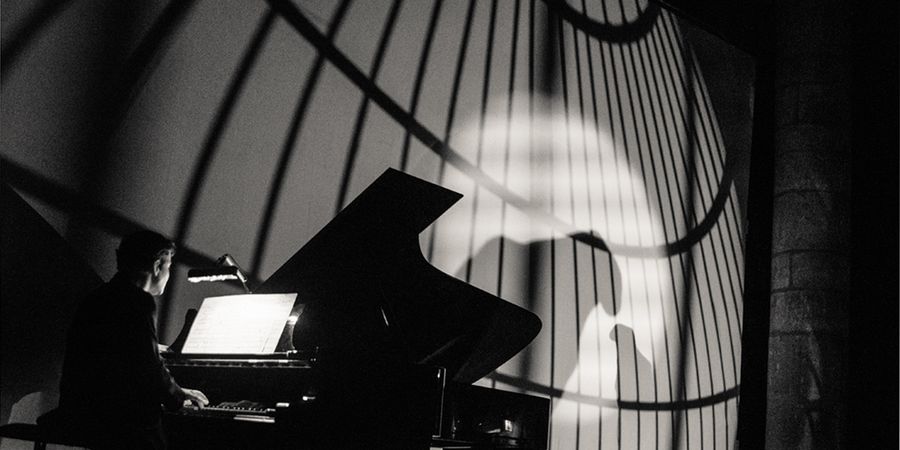 image - Les Ombres Errantes