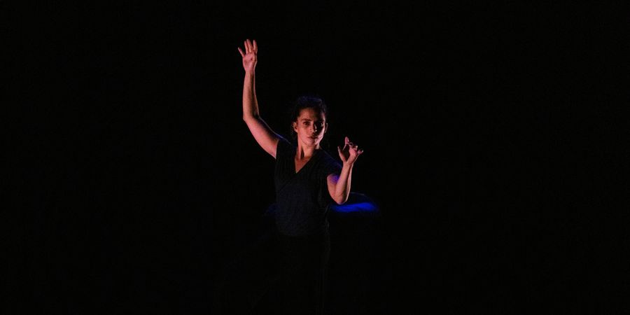 image - Semilla