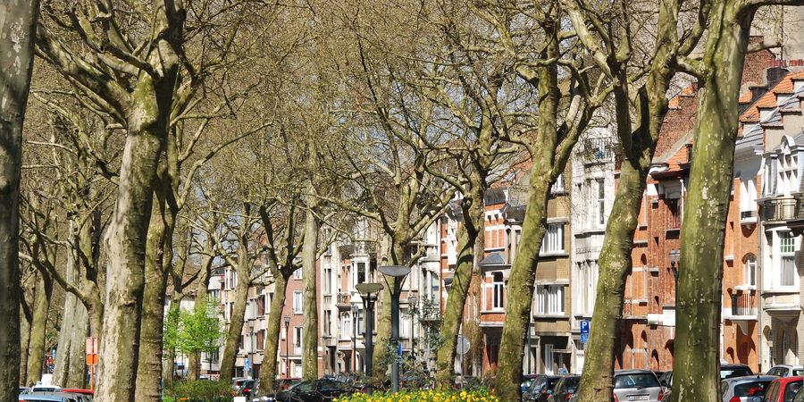 image - Duik in de 19: Schaarbeek