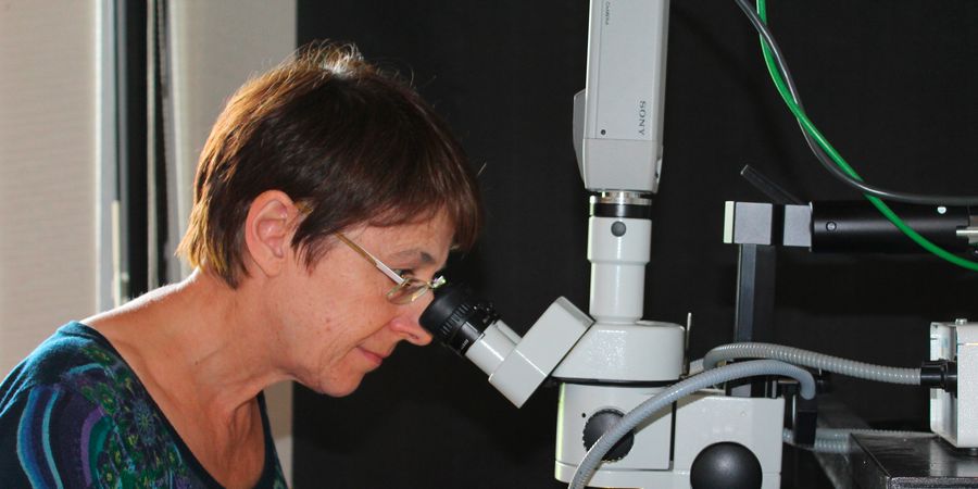 image - Lunch time | Expertise et conservation : quand les œuvres se dévoilent