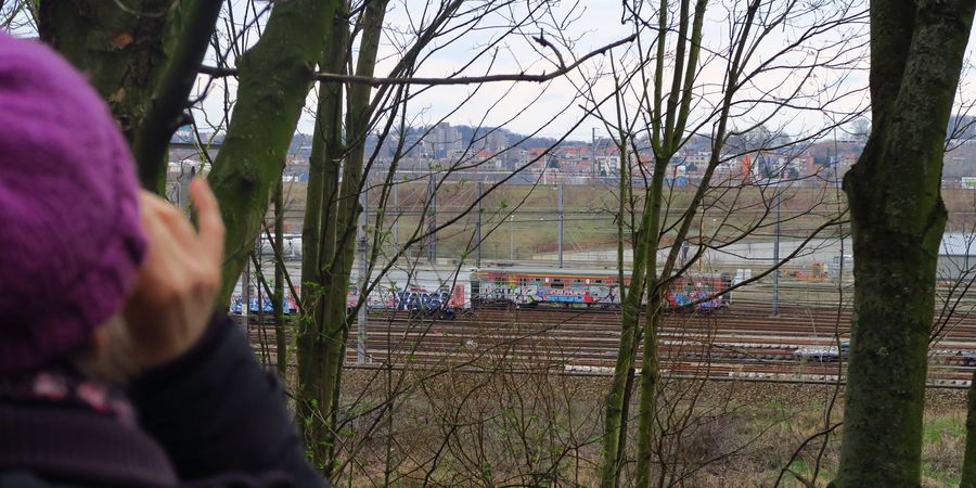 image - Visite guidée graffiti - Autour du train