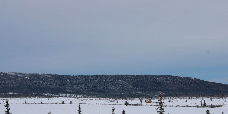 image - Expo | Arctique en transition
