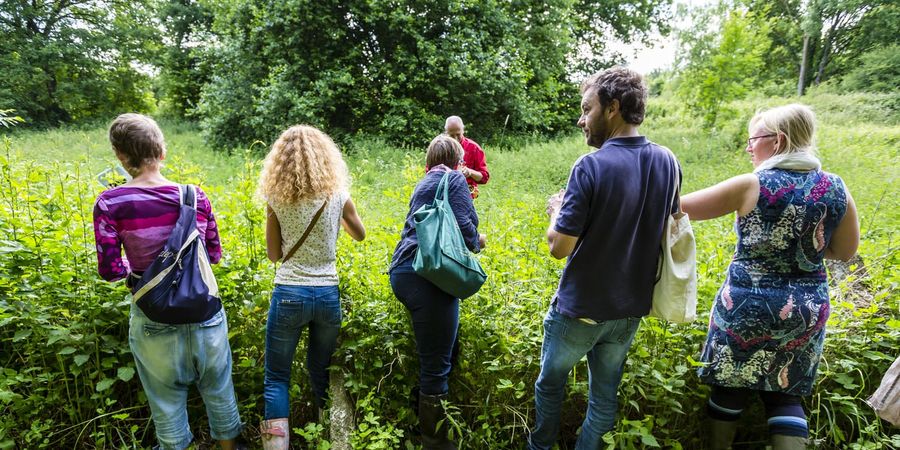 image - Balade plantes sauvages comestibles d'été