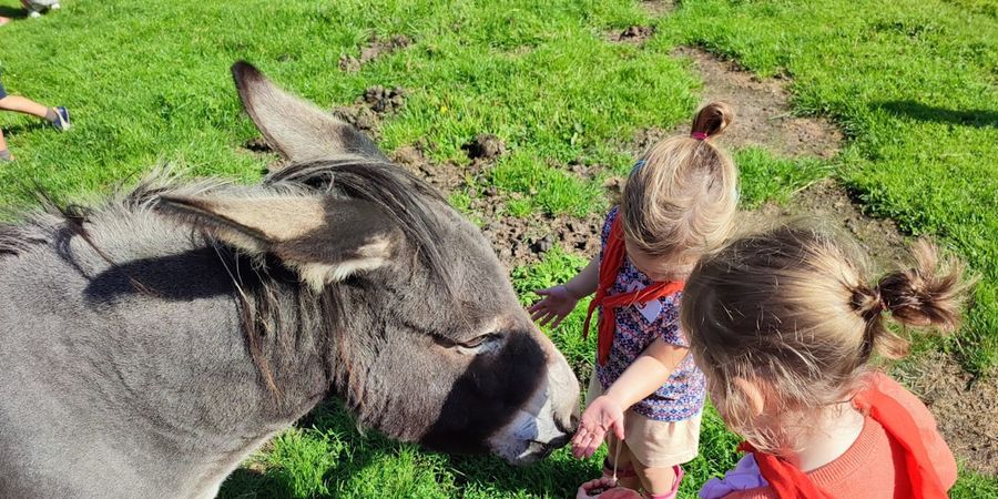 image - Lekkernij op de boerderij