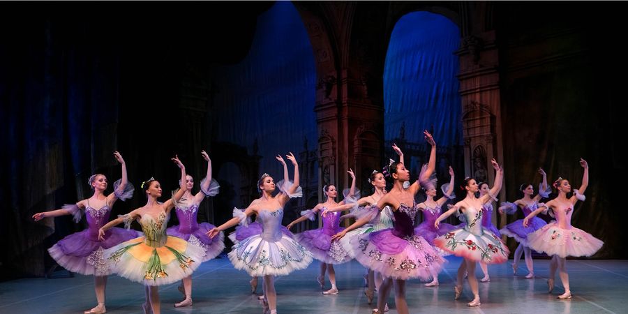 image - Ballet Dreams Gala