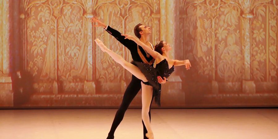 image - Ballet Le Lac Des Cygnes