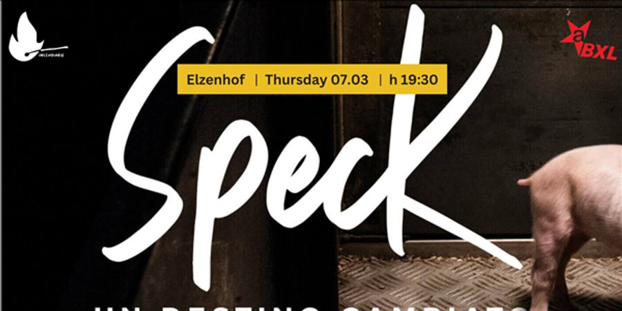 image - Cineforum incendiario: Speck