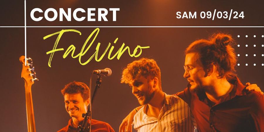 image - Falvino (rock/blues/groove) en concert