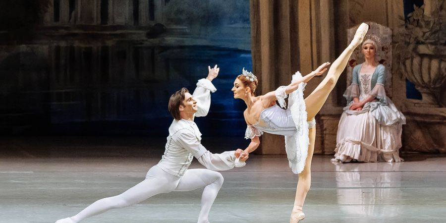image - The Sleeping Beauty