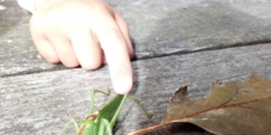 image - Une vie de rikiki (4-6 ans)