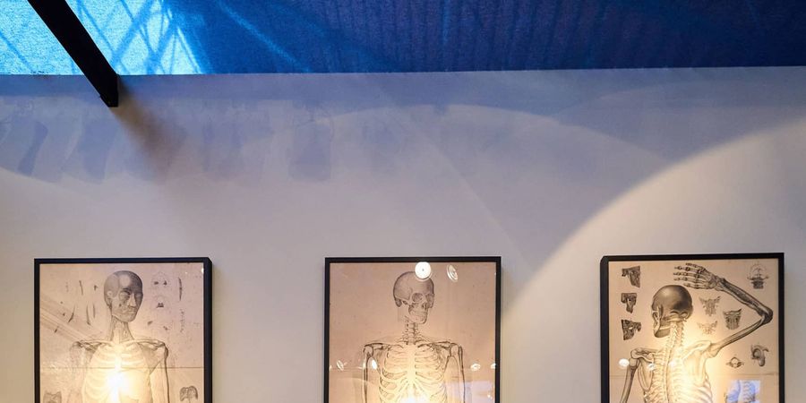 image - FINE ART FAIR ANTICA BRUSSELS