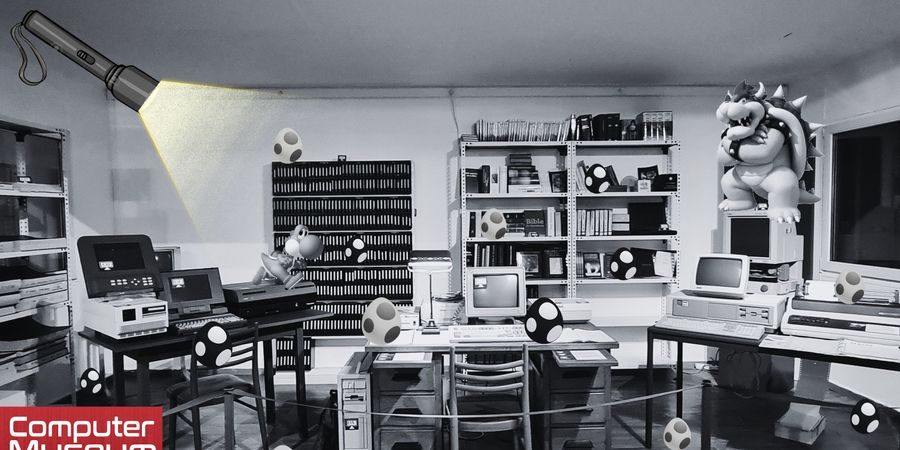 image - Nocturne chasse aux oeufs