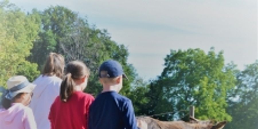 image - Du coq à l'âne 7-10 ans