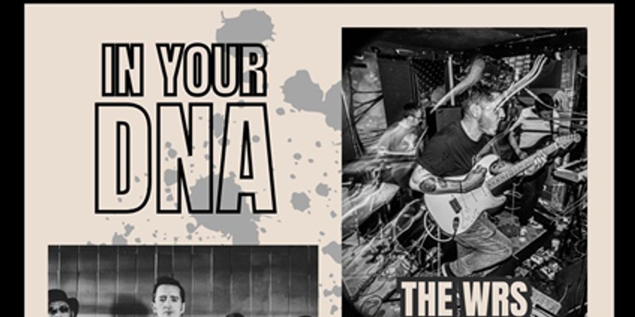 image - Stoemp ! x IN YOUR DNA w/Maria Iskariot x Jenkinses x