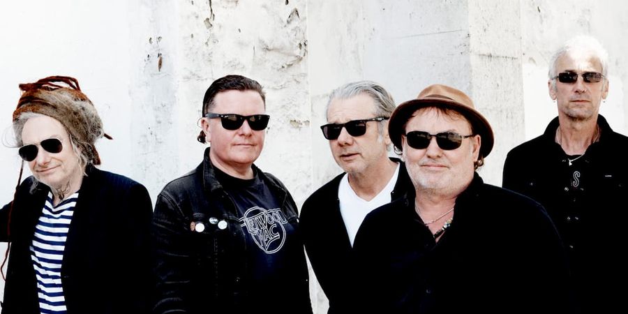 image - Levellers