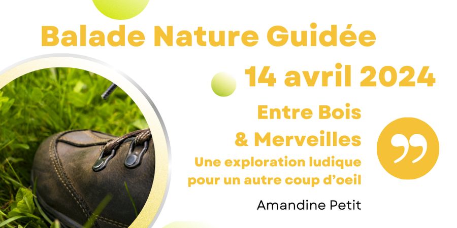 image - Balade Nature Guidée, Entre Bois & Merveilles