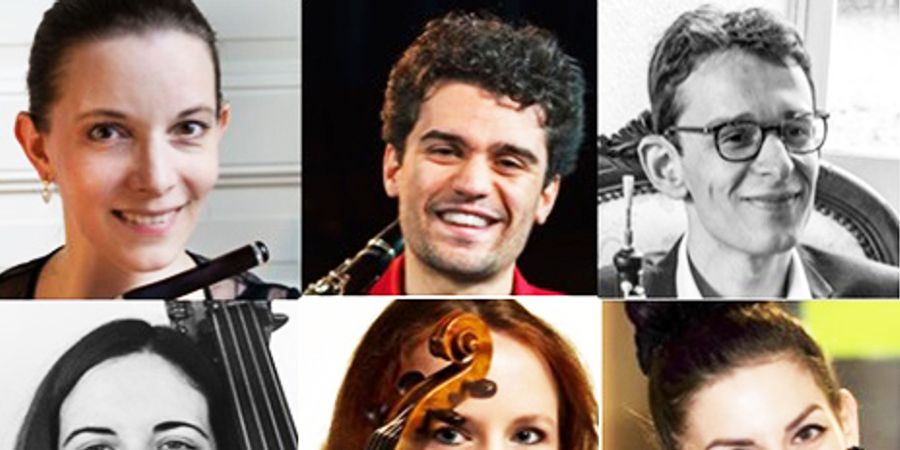 image - Ensemble Extraordinaire : Les Insolites