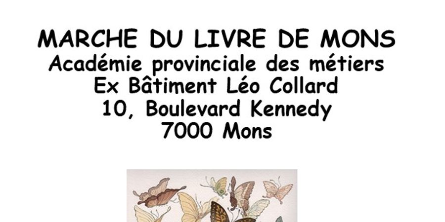 image - Marché du Livre de Mons , le marché du livre et du papier collection