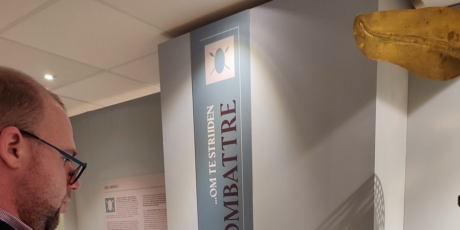 image - Dimanche + que gratuit au Musée des Celtes