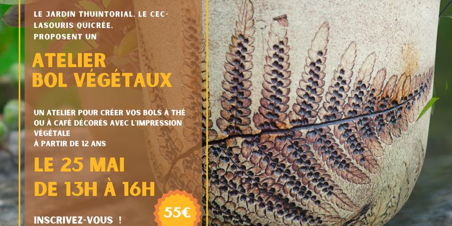 image - Workshop : Bol végétaux