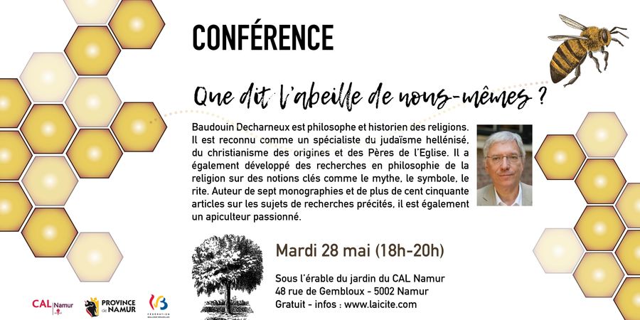 image - Que dit l'abeille de nous-mêmes ?