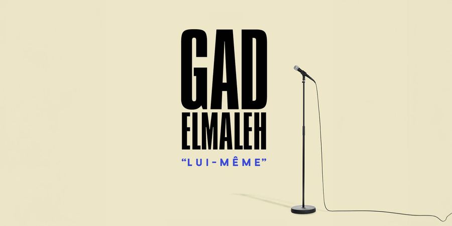 image - Gad Elmaleh
