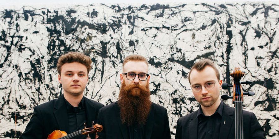 image - Le Ryelandt Trio joue Beethoven aux Concerts de Midi