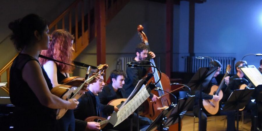 image - Carte blanche au Conservatoire : Cordes pincées