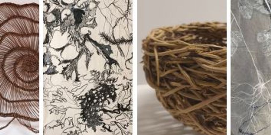 image - Végétales (exposition)