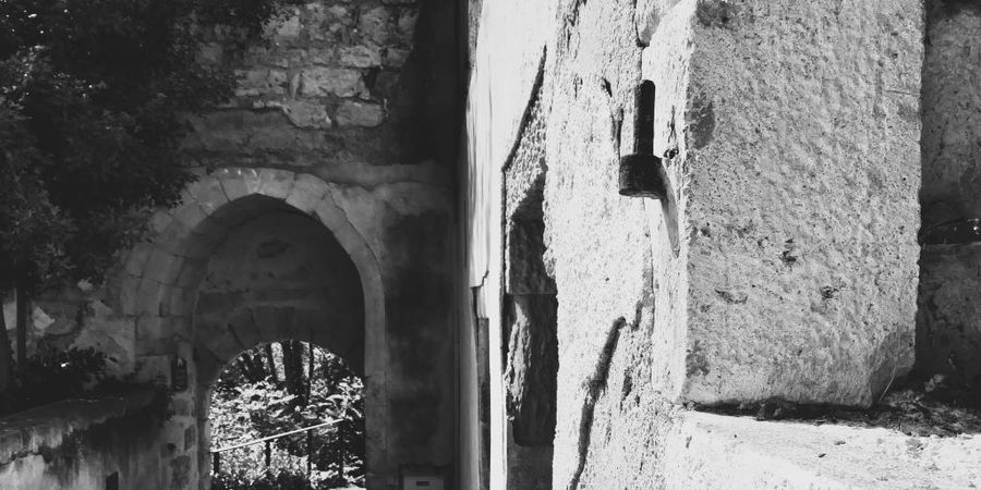 image - LECTURE-SPECTACLE | Promenades salutaires