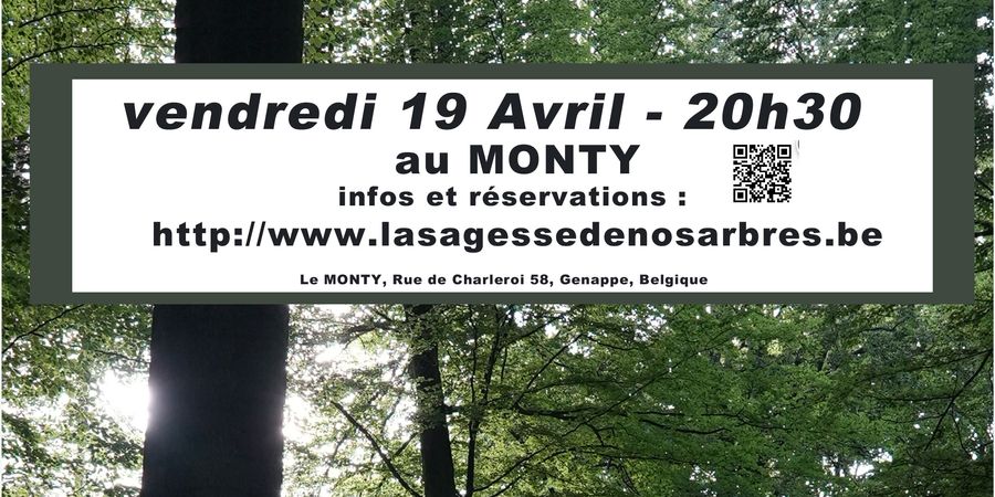image - La sagesse de nos arbres, en route !